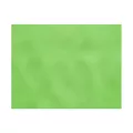 Set de table TNT 30x40cm Vert pomme